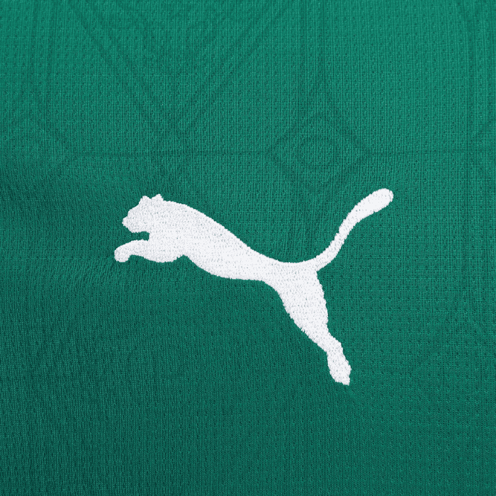 Camisa Palmeiras I 2025/26 Masculina - Verde